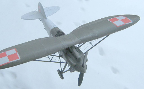 PWS-10