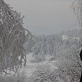 17.I.2010 Miękinia, piękna zima i gigantyczne mrozy.