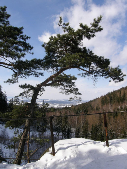 Zimowe widoki w Rudawach Janowickich.. #Góry #RudawyJanowickie #zima