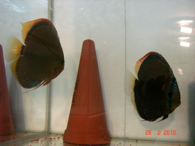 27.02.2010