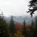 Widok z drogi na Nosal na Tatry