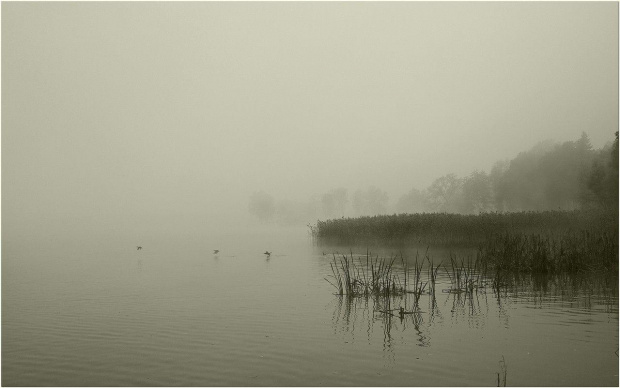 Mgła #Jezioro #Mazury #mgła #Ostróda