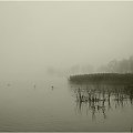 Mgła #Jezioro #Mazury #mgła #Ostróda