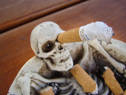 Popielniczka xD #papierosy #popielniczka #szkielet