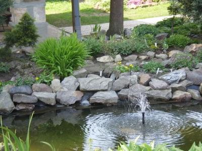 Wiosna 2010 w ogrodzie Igi