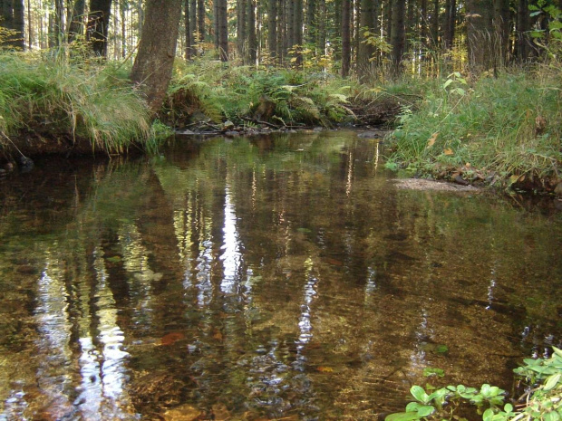 strumienie w Michałowicach (Jelenia Góra)