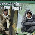 #zoo #rodzina #wycieczka #opole #dzieci #zwierzęta