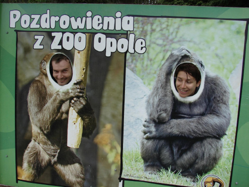 #zoo #rodzina #wycieczka #opole #dzieci #zwierzęta