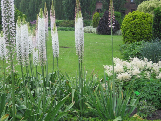 Ogród Botaniczny we Wrocławiu - maj 2010