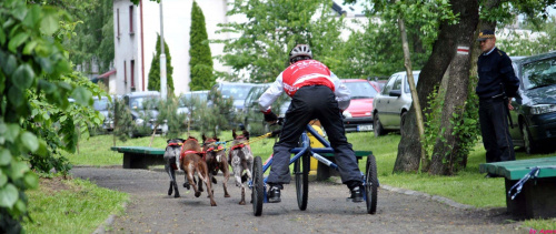 Pokazy dyscyplin psich zaprzęgów. Dzień dziecka w Żninie.
Mateusz Brylewski i Igor Tracz.Canicross, Bikejoring, Scooter, psi zaprzęg. #PsieZaprzęgiŻnin #BrylewskiMateusz #IgorTracz #bikejoring #scooter #canicross #greyster