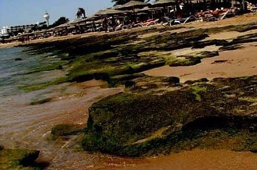 Egipt - plaża #Egipt #plaża #woda #wybrzeże