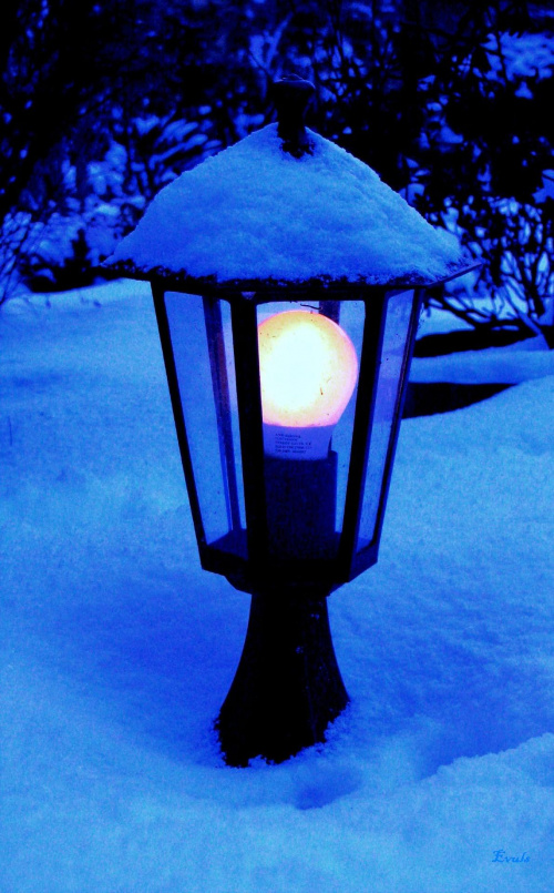 latarenka #latarnia #ogród #światło #zima