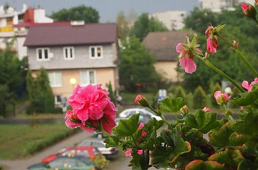 burza #balkon #burza #chmury #deszcz #kwiatek #osiedle