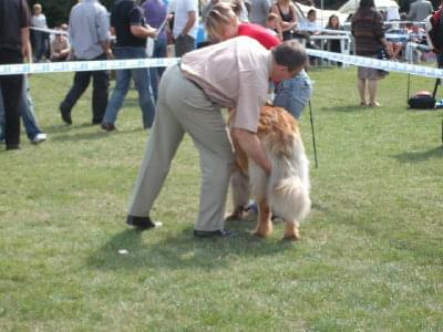 #leonberger #AptekaNatury