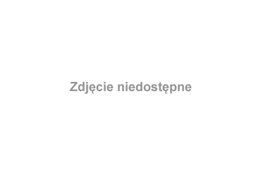 #grudzień #mróz #natura #szron #liść