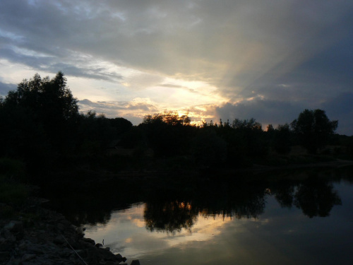 Nad Wisłą #rzeka #woda #rywy #wędkarstwo #przyroda #słońce #pejzarz