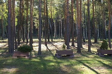 Lasek na terenie ośrodka #KsiężeMłyny #Łódź #OśrodekWczasowy #Vantur #wakacje #ZPsami