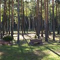 Lasek na terenie ośrodka #KsiężeMłyny #Łódź #OśrodekWczasowy #Vantur #wakacje #ZPsami