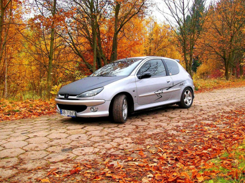 sesja jesienna #Peugeot206S16Gti