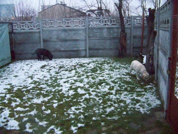 Cieczka,areszt i takie tam... :-)