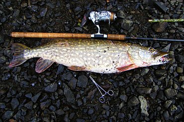 #czupak #muckno #szaman #jezioro #irlandia #lake #spininng