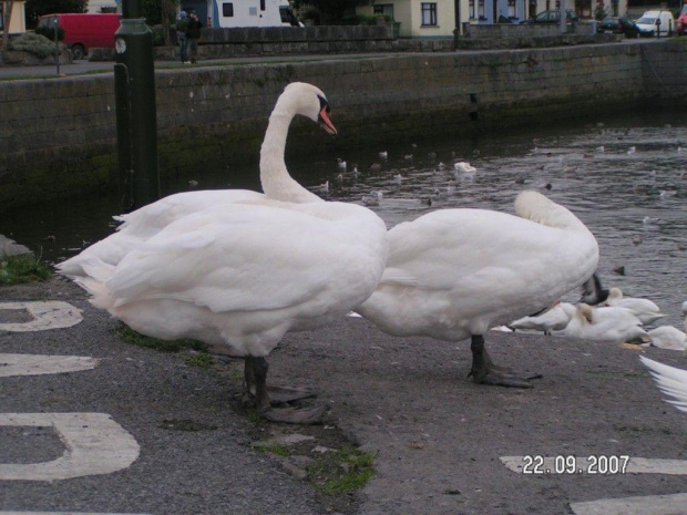 Dookola Galway :]