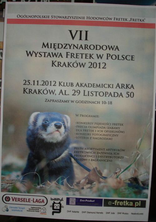 Kraków 25-11-2012 _ plakat #AKI #fretka #fretki #gwiazdor #Kraków #nagroda #wystawa