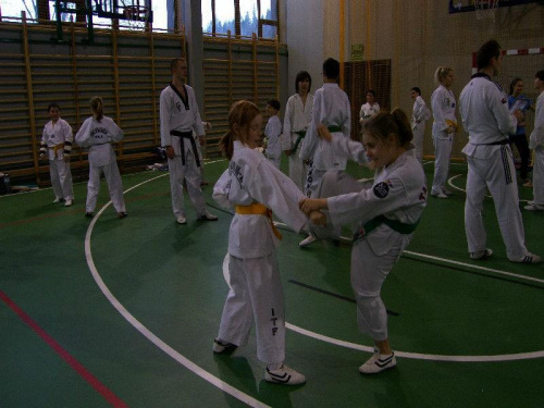 seminarium z MIstrzem Kang Cheol In 7 dan #taekwondo #tkd #walka #zawody