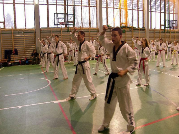 seminarium z MIstrzem Kang Cheol In 7 dan #taekwondo #tkd #walka #zawody