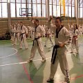 seminarium z MIstrzem Kang Cheol In 7 dan #taekwondo #tkd #walka #zawody