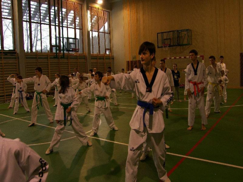 seminarium z MIstrzem Kang Cheol In 7 dan #taekwondo #tkd #walka #zawody