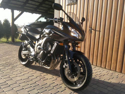 fz6_jar