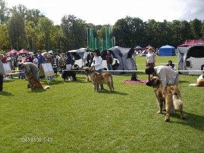 #leonberger #AptekaNatury