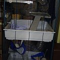 12.02.2009
Tower