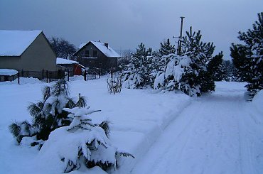 Atak Zimy 16.02.2009 Osiek/k.Olkusza. #zima #atak #mróz #przyroda #snieg #śnieg #luty #opad #płatek #mroźno #zaspy #góry #AtakZimy #chłód #zaspa #slisko #lód #drzewa #drzewo #natura #ogród #wieś #wioska #osiek #olkusz