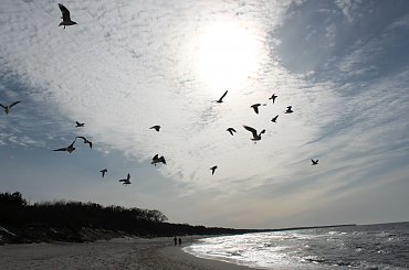 Spacerkiem po plaży #Kołobrzeg #plaża #morze