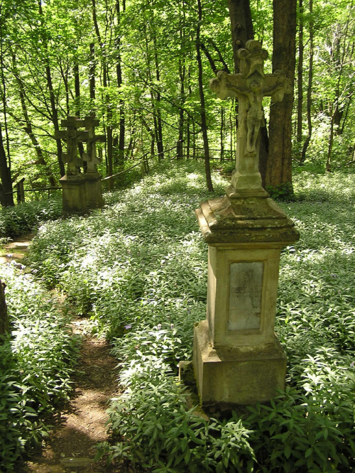 Cmentarz łemkowski zagubiony w lesie #Bieszczady #cmentarz