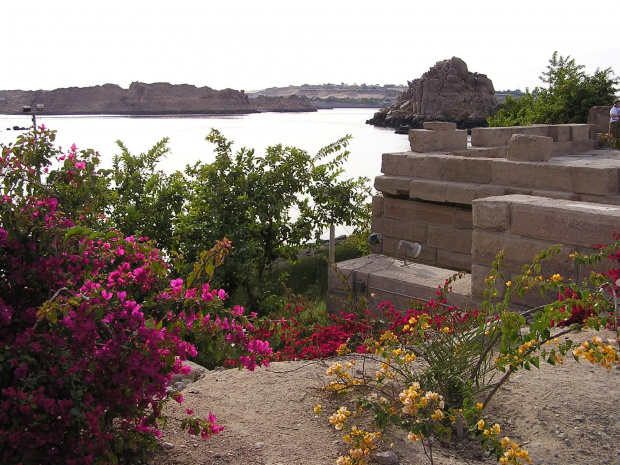 Asuan, na wyspie Philae. #Egipt #Nubia #zwiedzanie #egzotyczne #Asuan