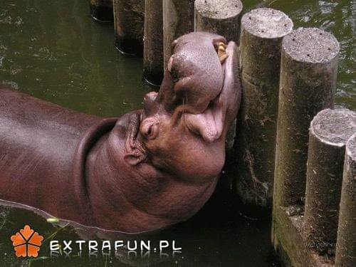 www.extrafun.pl #extrafun