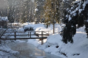#Zima #śnieg #tatry #góry #MaleCiche #BukowinaTatrzańska #Podhale