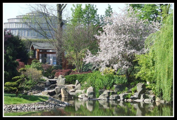 japan garden na tle hali ludowej - Ogród Japoński we Wrocławiu