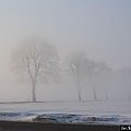 Drzewa przykryte poranną mgłą. Zdjęcie to dedykuje Martynie Kosek :)