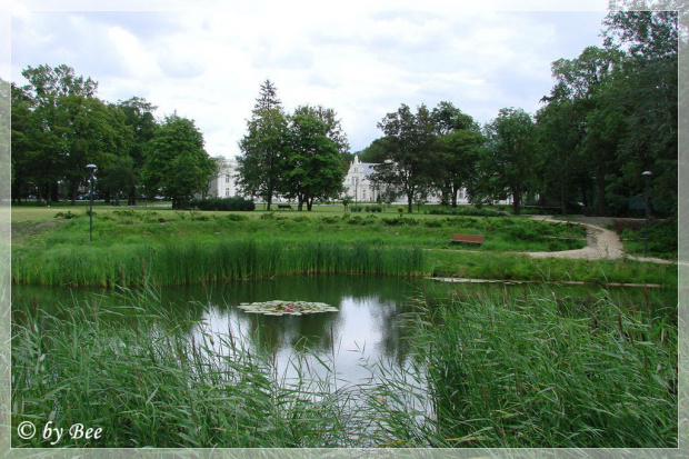 Otoczenie Pałacu Romantycznego
Pałac otacza park angielski rozciągający się na powierzchni 16 hektarów, w którym do dzisiaj rosną okazałe stare drzewa takie jak: lipy, klony, platany, kasztanowce i wiele gatunków egzotycznych drzew i krzewów. Uroku dod...