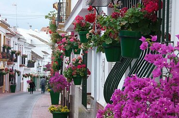 #kwiaty #uliczki #hiszpania #estepona