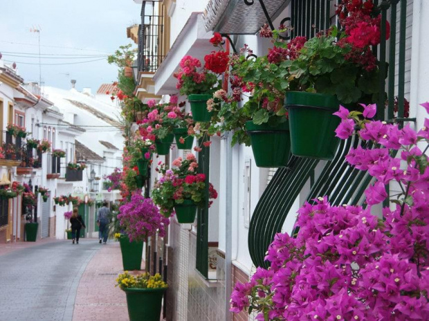 #kwiaty #uliczki #hiszpania #estepona