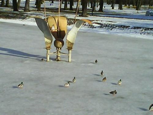 #kaczki #park #kaczka #drzewa #śnieg #zwierzę #drzewo #zima