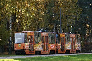 darmowy tramwaj, tylko w czwartki ? #tramwaj #trasa #wycieczka