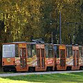darmowy tramwaj, tylko w czwartki ? #tramwaj #trasa #wycieczka