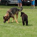 PP Agility Białystok 22.07.2007