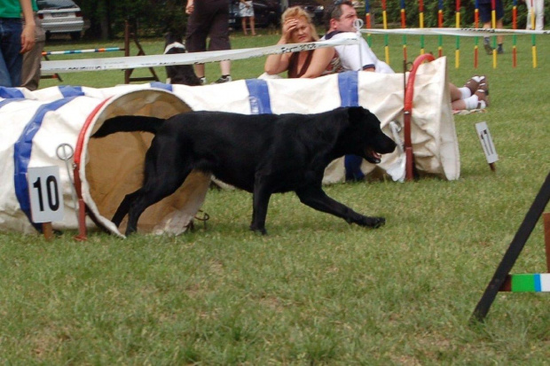 PP Agility Białystok 22.07.2007